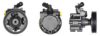 DRI 715520576 Hydraulic Pump, steering system